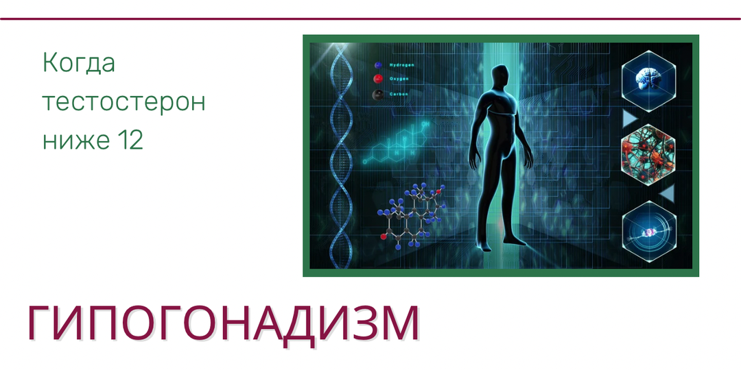 Тестостерон в жизни мужчины