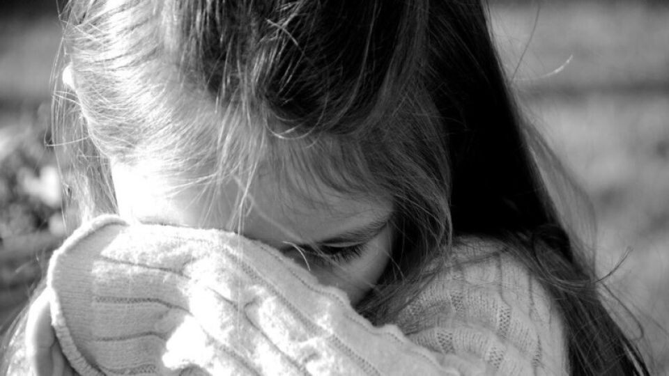    Девочка. Источник: pixabay.com