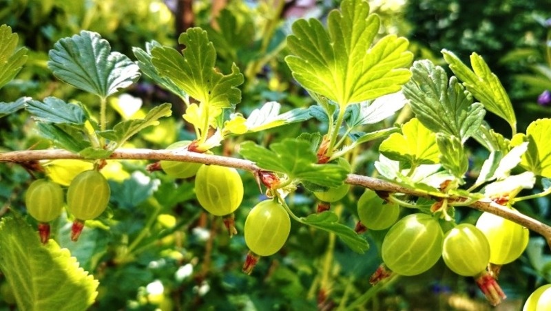 Фото: @EyeEm / freepik.com
