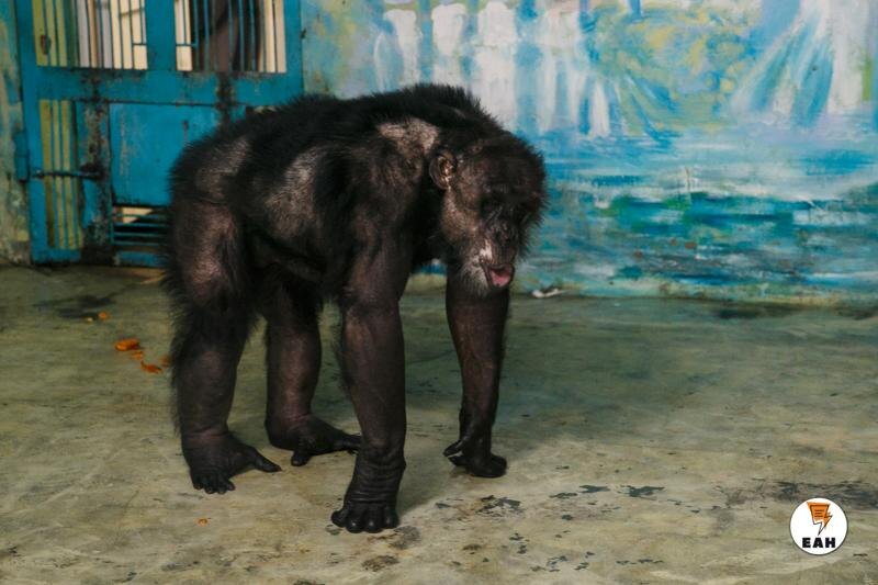    ЕАН / Архивное фото