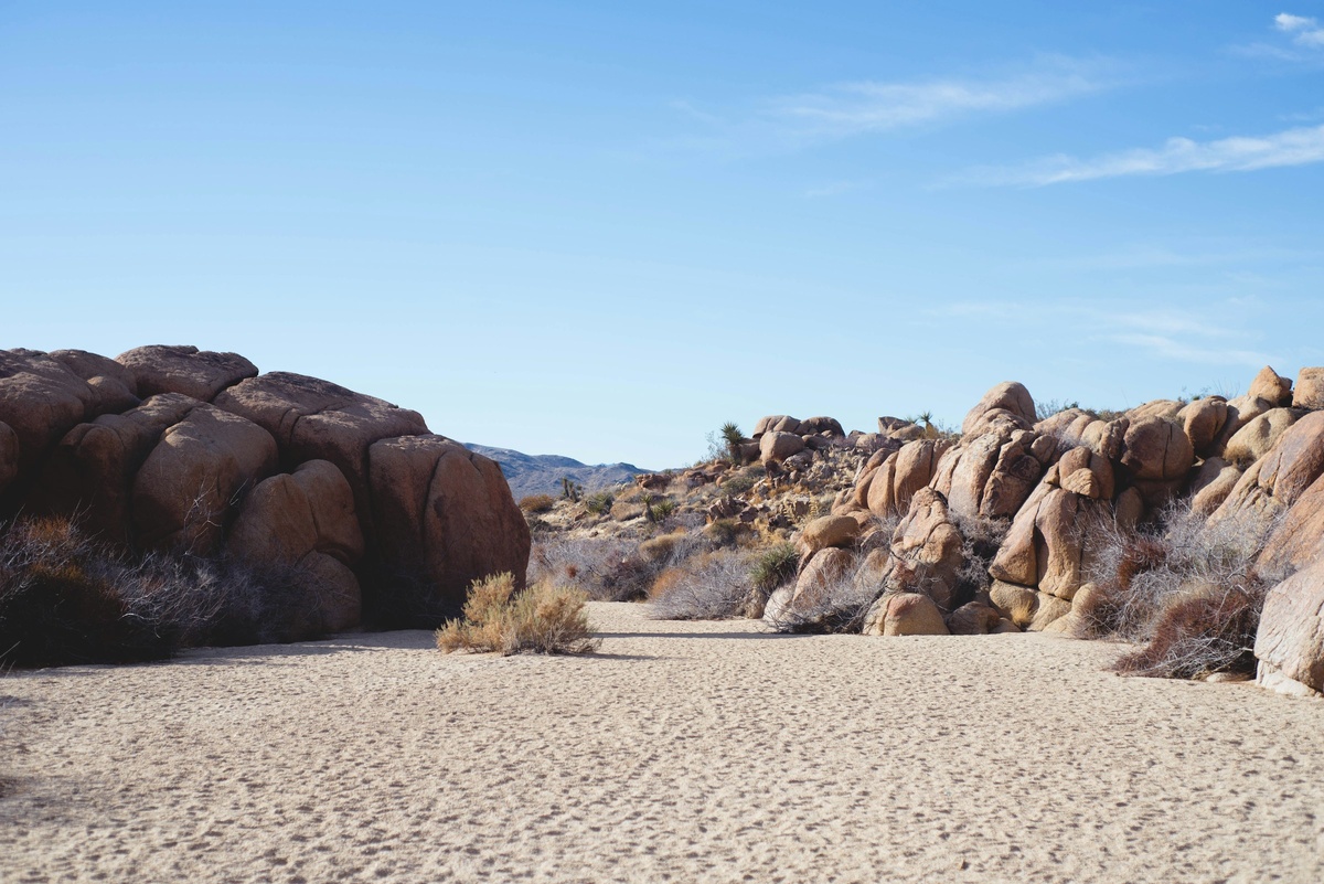 Фото с бесплатного фотостока https://unsplash.com, автор Melanie Losoya