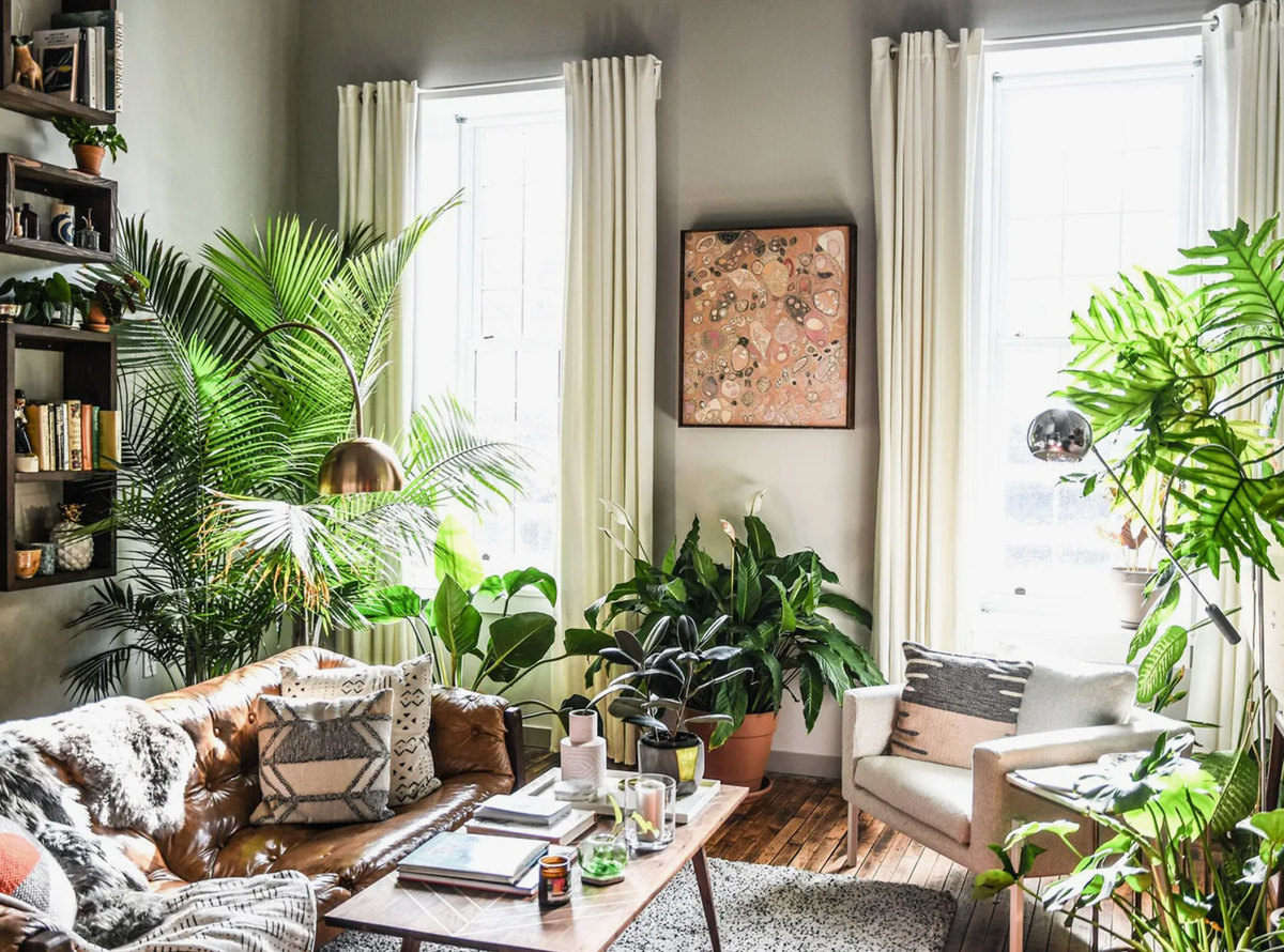 "Городские джунгли"- самые трендовый интерьер сегодня