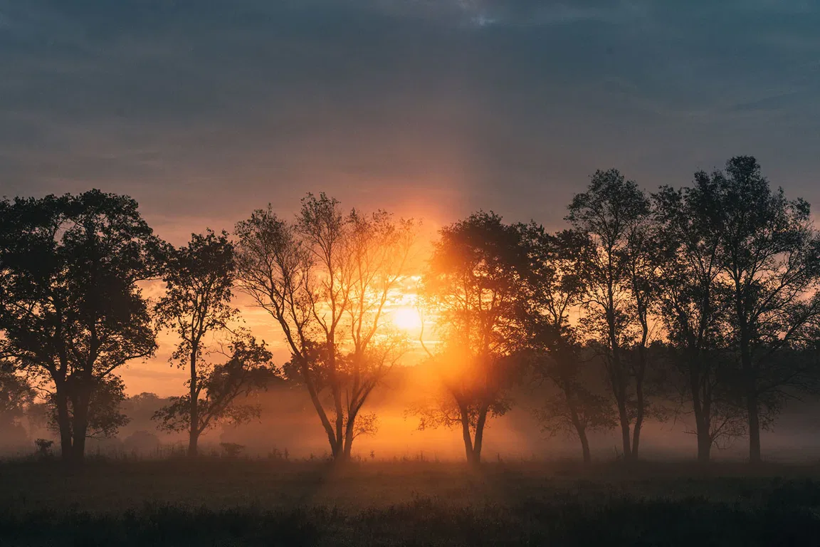 Bryan Minear - X-T3 | XF50-140mmF2.8 R LM OIS WR | F 16 | 1/900 sec. | ISO 160