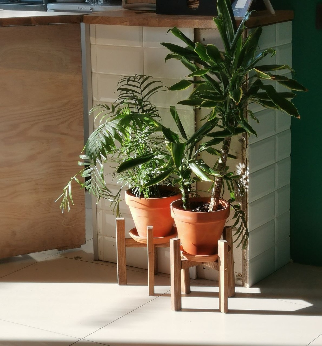 Зеленые растения в глиняных горшках могут выглядеть стильно. 