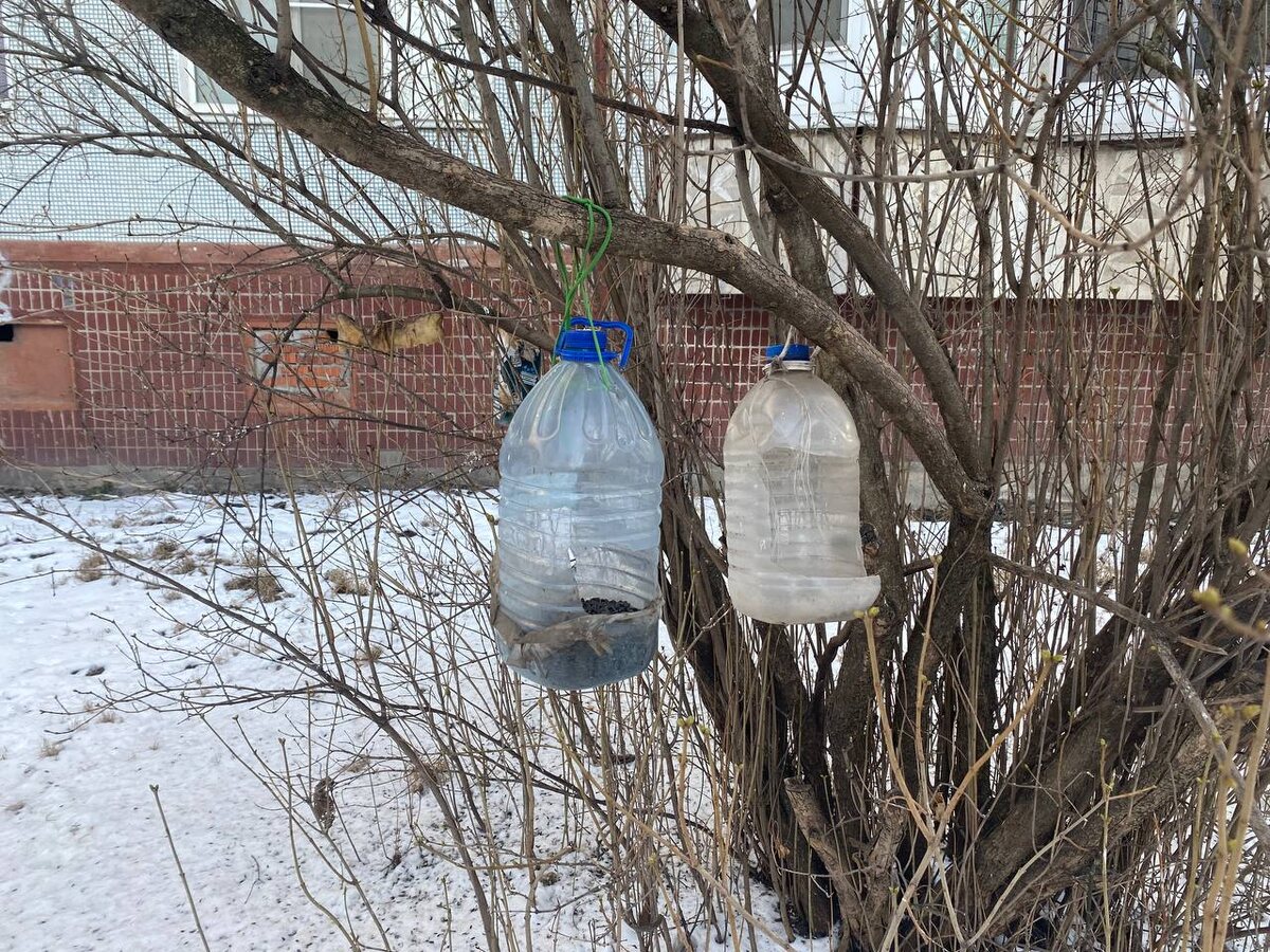 Фото: Тульская служба новостей