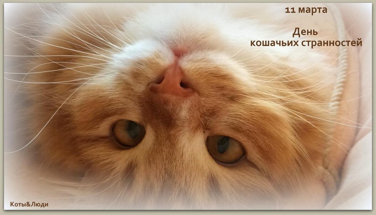 Коллаж автора