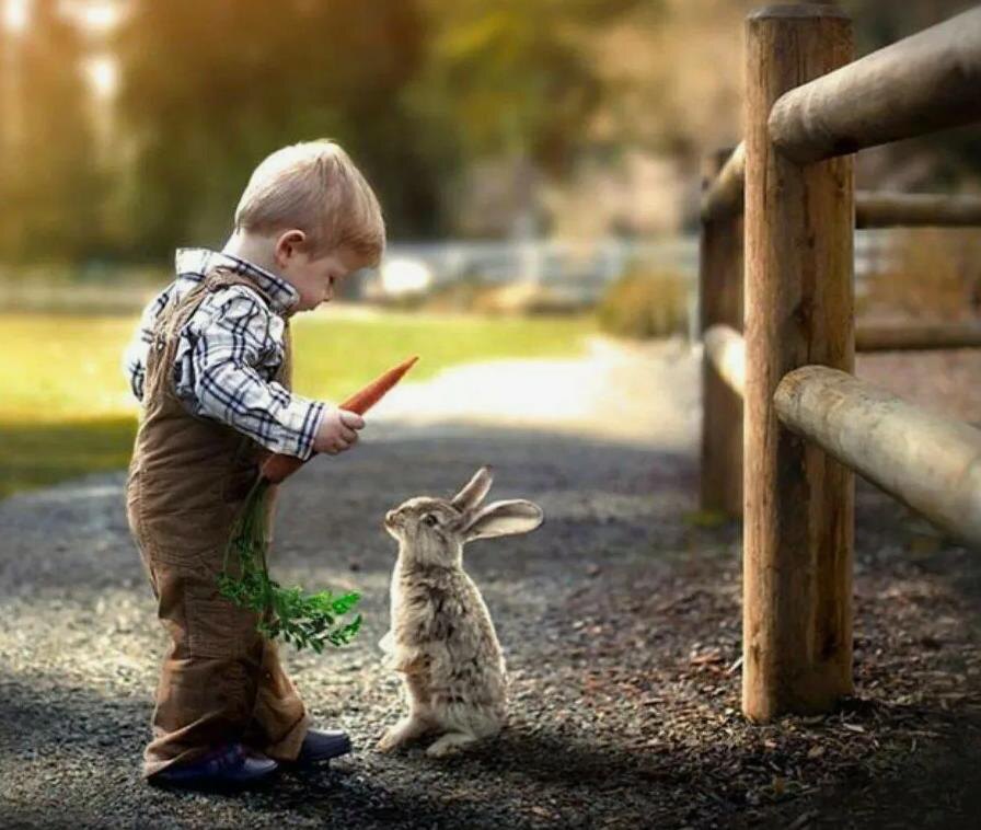 Доброта или есть, или её нет в нас