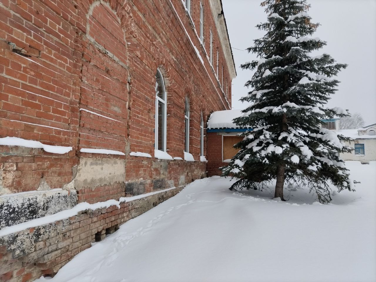 Фото автора.