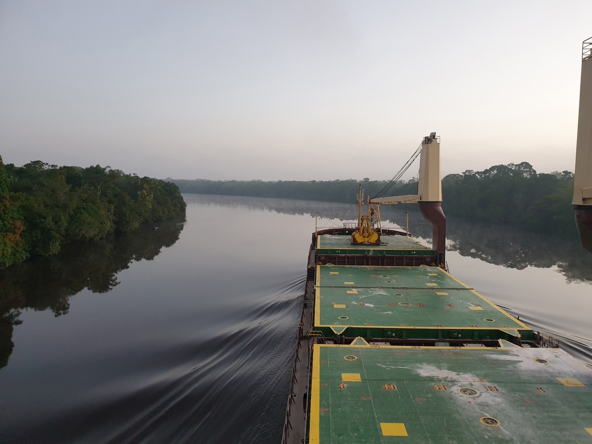 На снимке, сделанном российскими моряками, запечатлен вид с борта сухогруза во время перевозки бокситов по реке Демерара