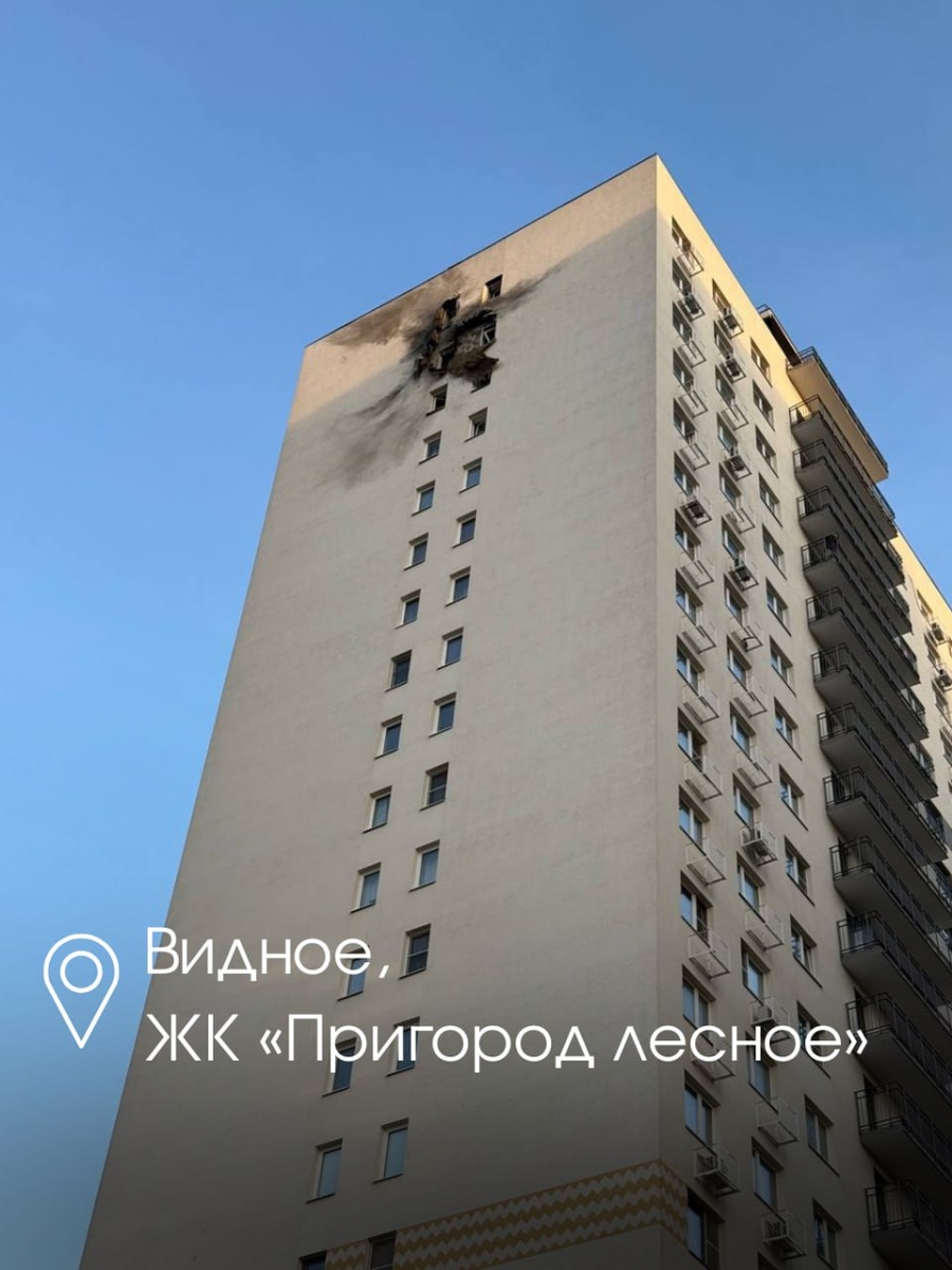    Фото: Telegram-канал губернатора Подмосковья Андрея Воробьева