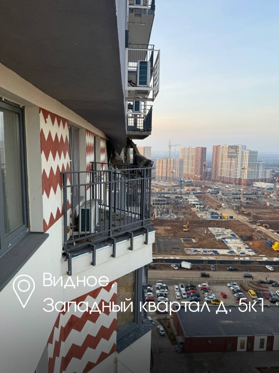    Фото: Telegram-канал губернатора Подмосковья Андрея Воробьева