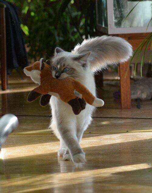 Источник фото: Pinterest 