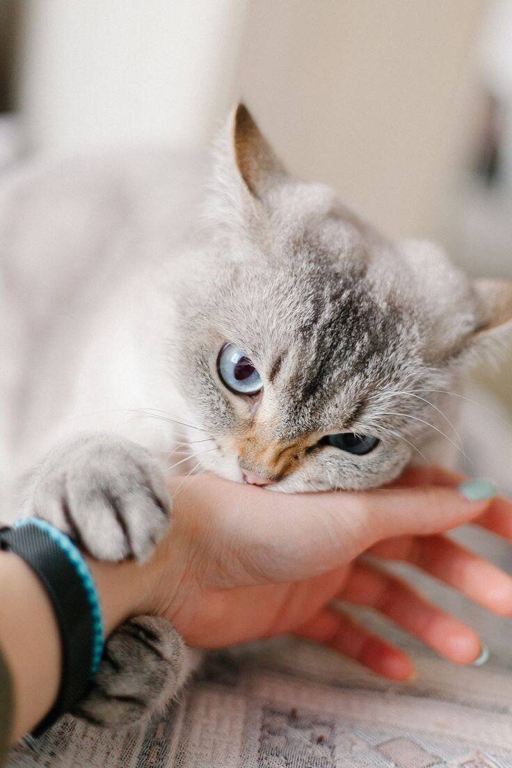 Источник фото: рinterest 