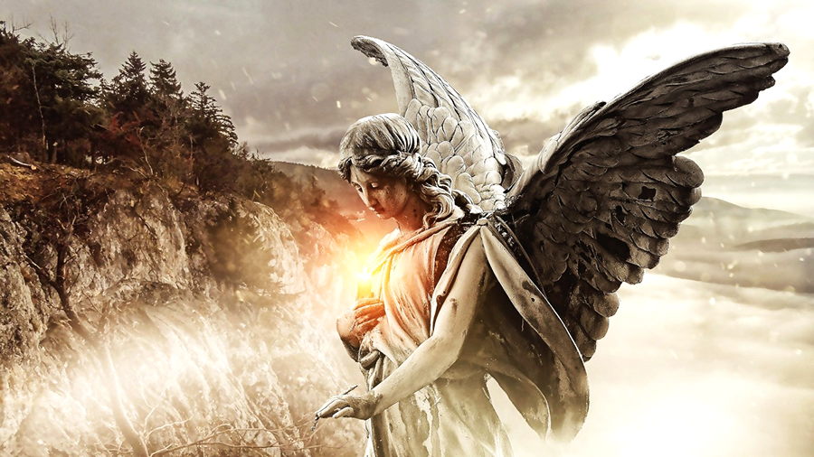 Яндекс. Картинки.