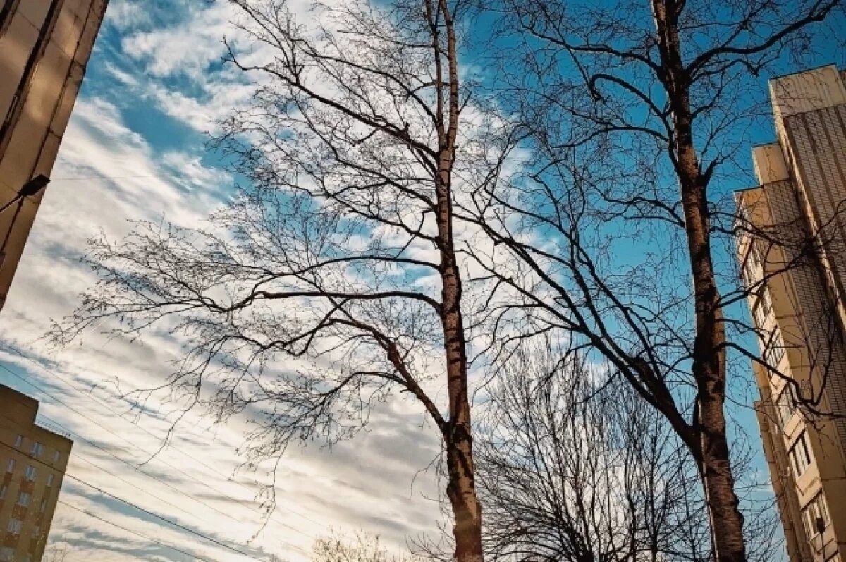    После похолодания в Тверскую область вернётся апрельское тепло 20 марта