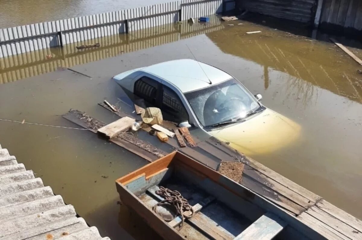    В прошлом году "большая" вода принесла много бед жителям Омского Прииртышья, особенно пострадал Усть-Ишимский район.