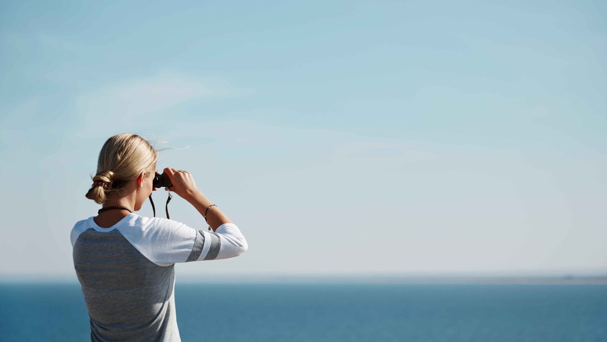    ,     112. : Freepik