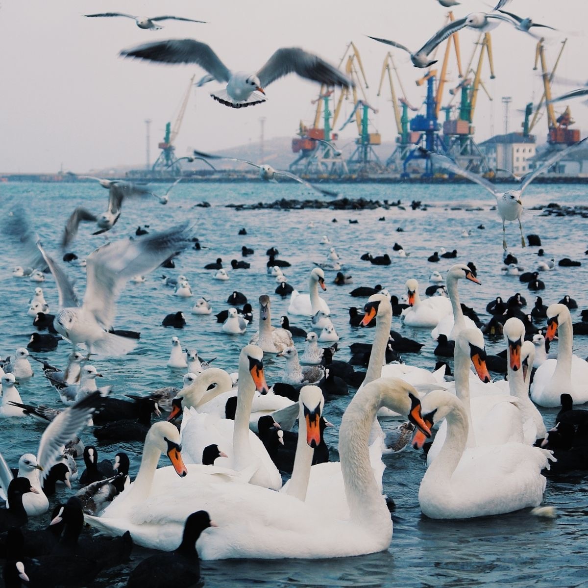 Утро Феодосия