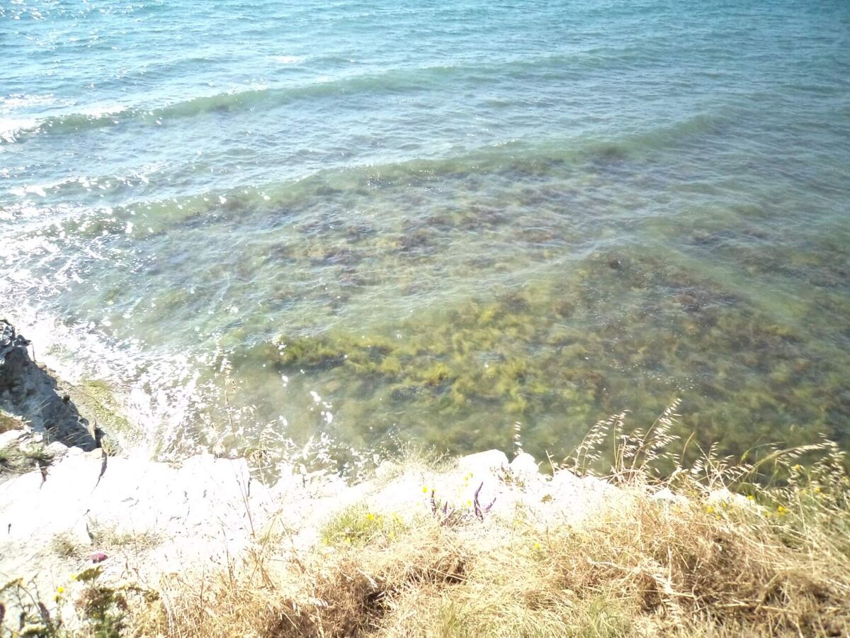 Фотка автора