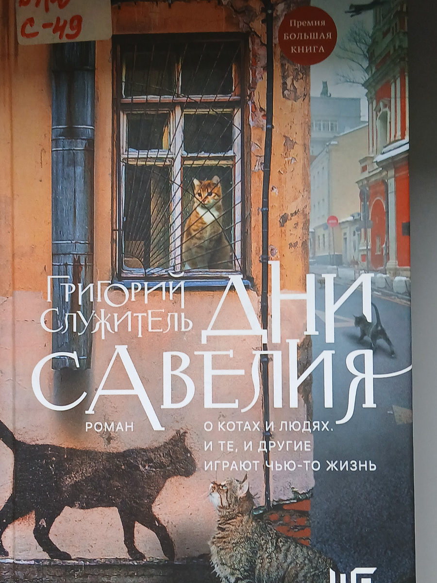 Обложка книги.