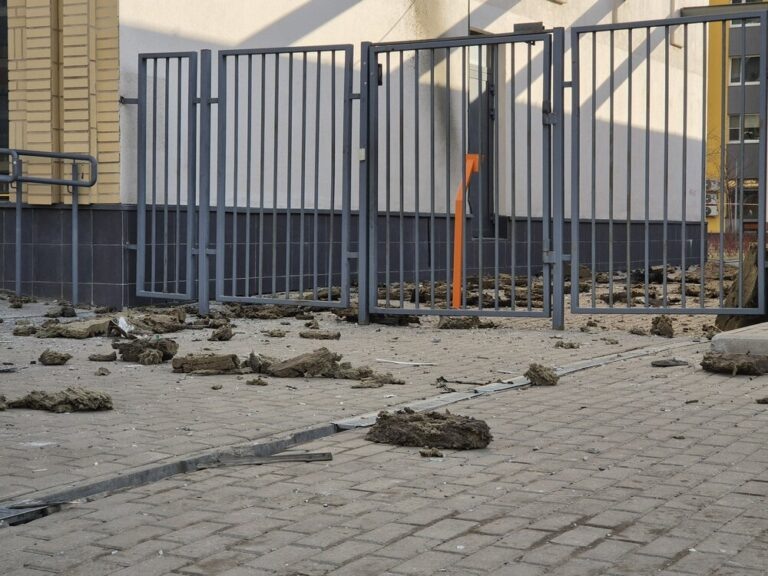    Фото: Агентство «Москва»/ Воронин Денис Анна Мигинеишвили