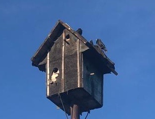 Многоквартирник