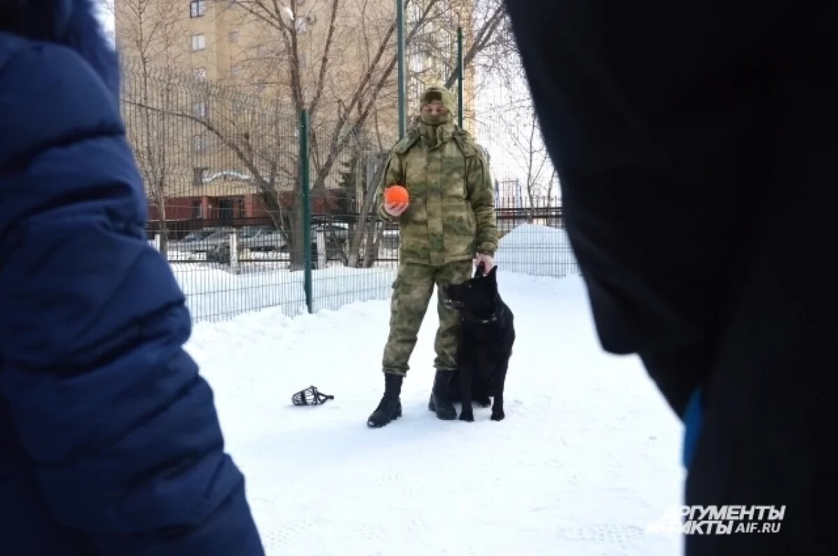    Росгвардия показала детям реабилитационного центра Кемерова служебных собак