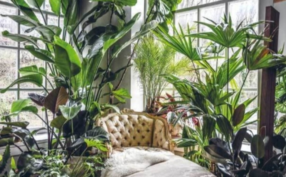 Фото из книги Хилтона Картера
«Wild at home. Как превратить
свой дом в зеленый рай»