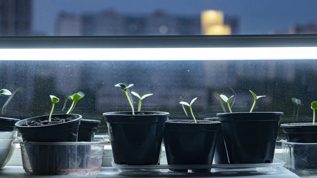    Фото: Konstantin Kokoshkin/Global Look Press/Globallookpress