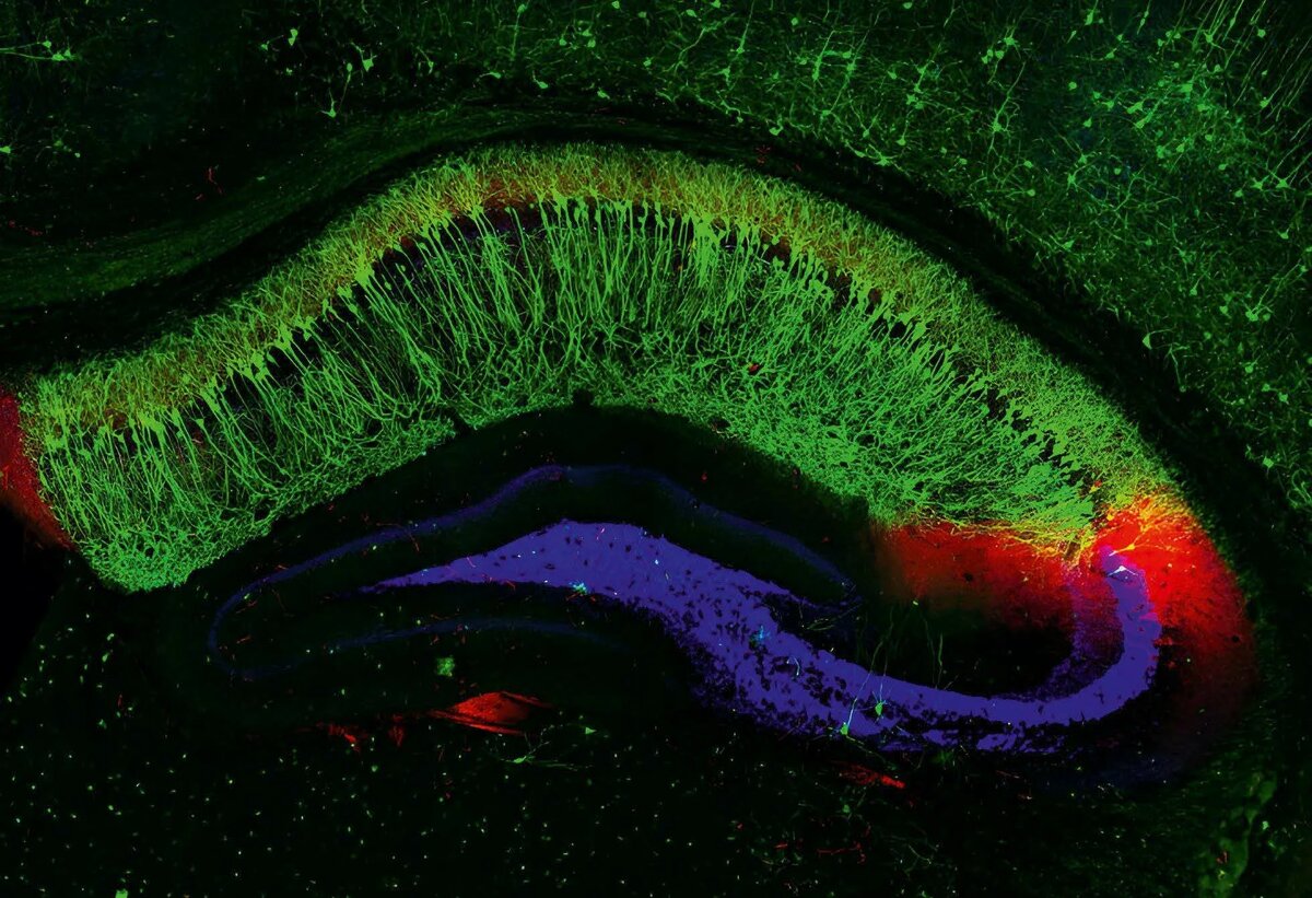 © science-et-vie.com