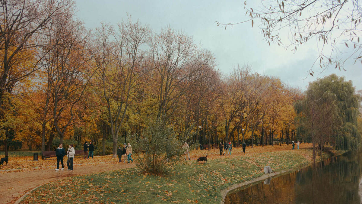 Прогулки в городском парке можно провести осознанно с практиками синрин-йоку, Новодевичья набережная, Москва