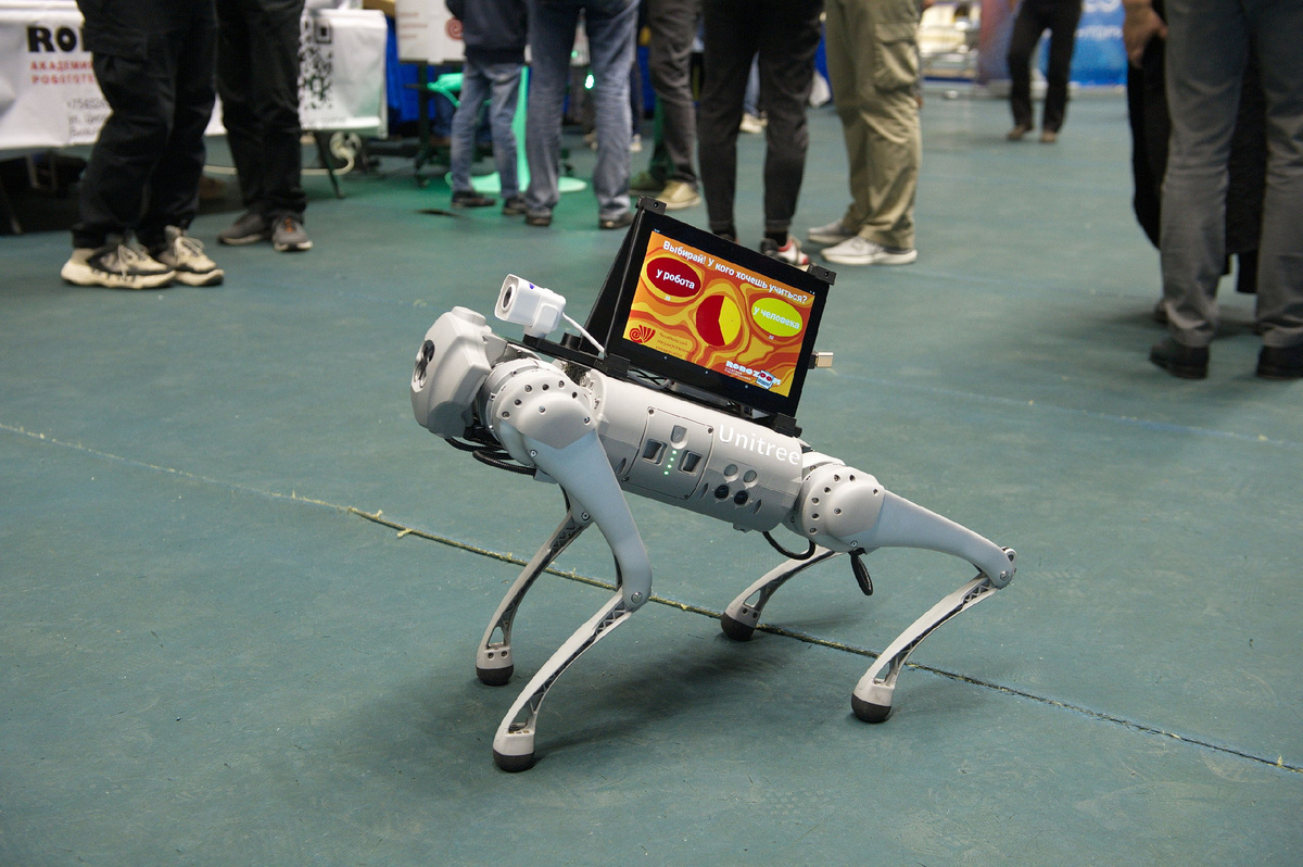 Фото: Андрей Ткаченко