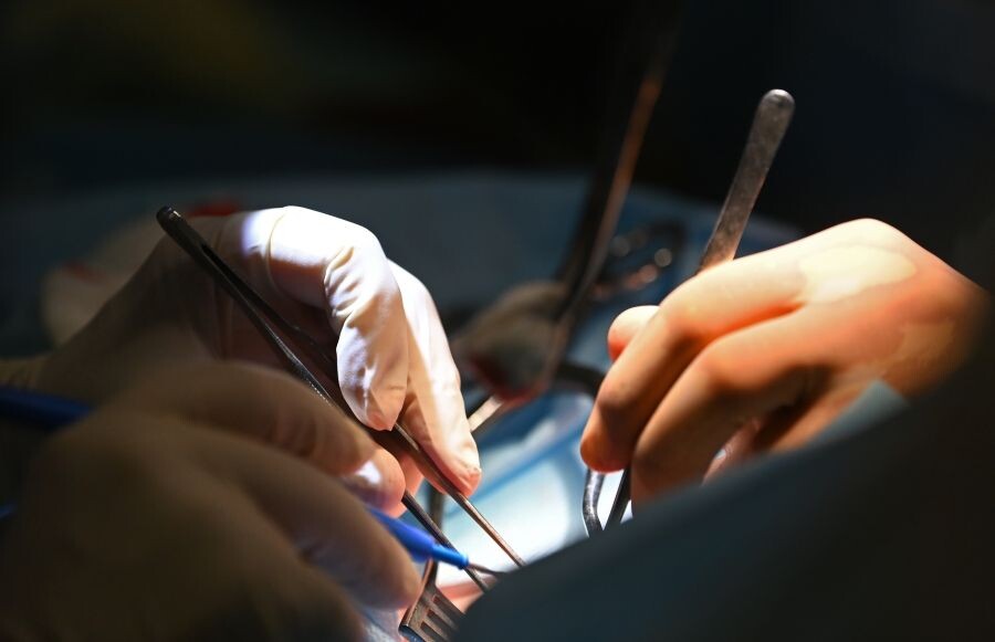     / Источник: ©РИА Новости/Григорий Сысоев