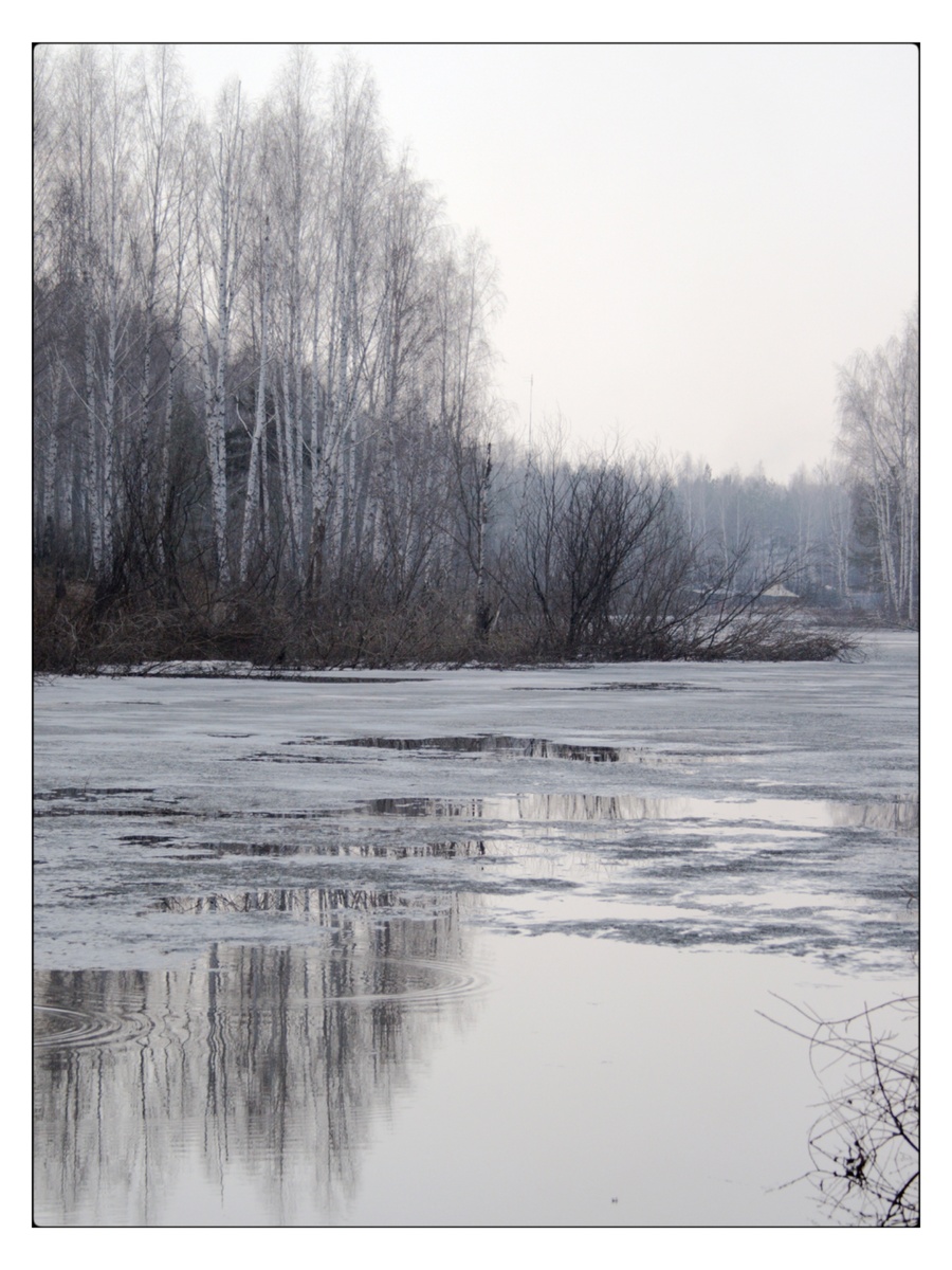 Март, лесное озеро. Фото моего исполнения, 2007 год.