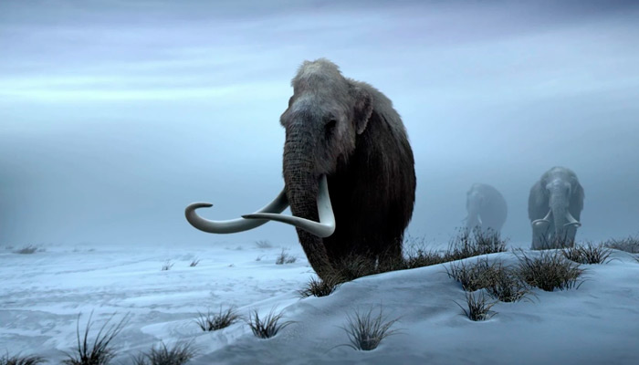 Однажды ледники и тысячелетние холода вернутся. Фото: movieassets.com