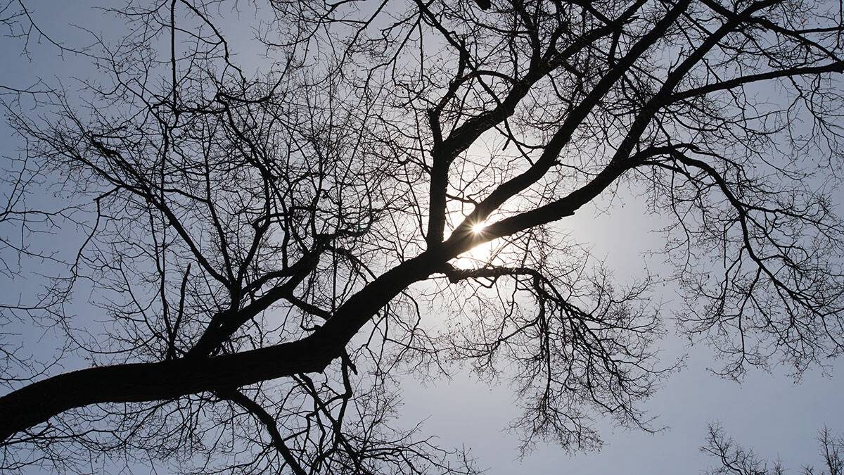    Фото: Анатолий Цымбалюк / Вечерняя Москва