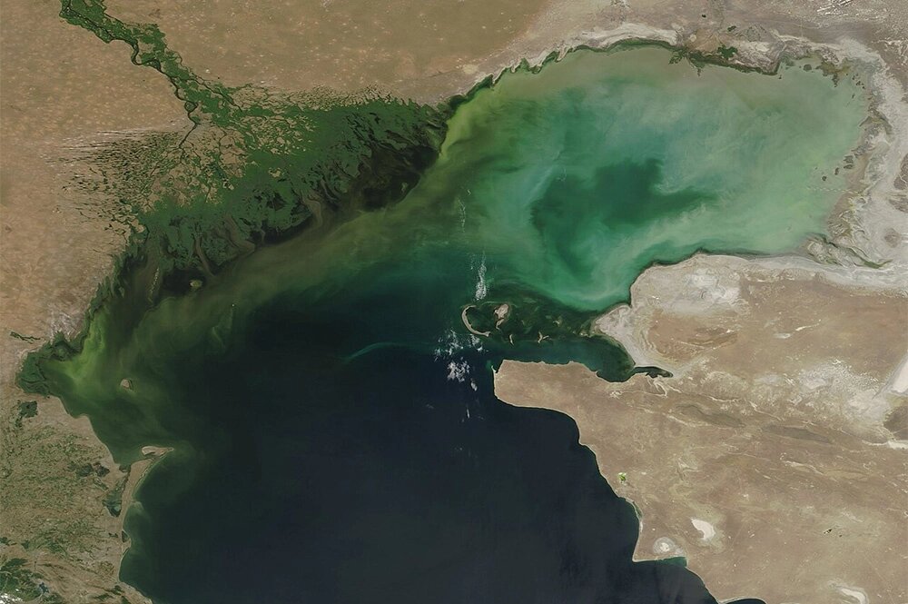    Дельта Волги. Фото со спутника. Фото: Commons.wikimedia.org