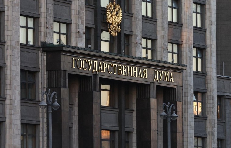    Наталья Шатохина/NEWS.ru