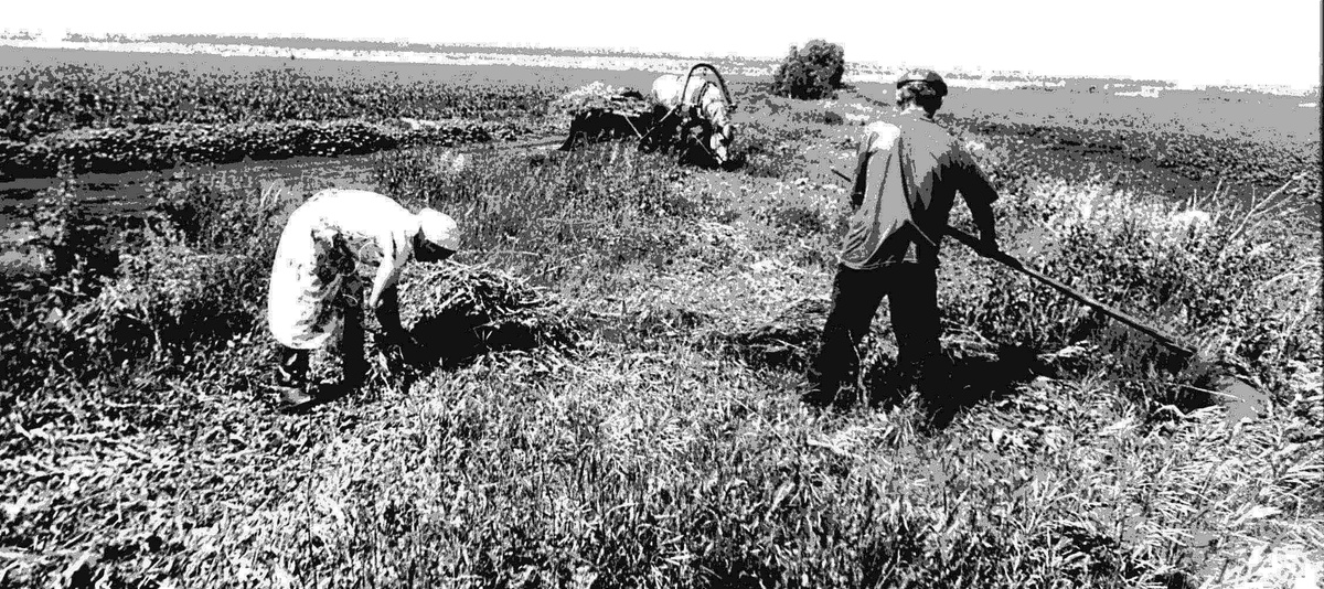 Фотография Туганова Николая Петровича.