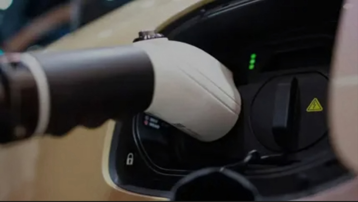 Фото: © A. Krivonosov