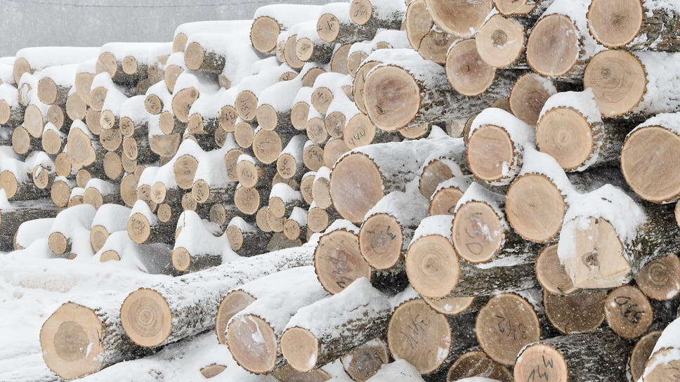 Фото: Игорь Елисеев / Коммерсантъ