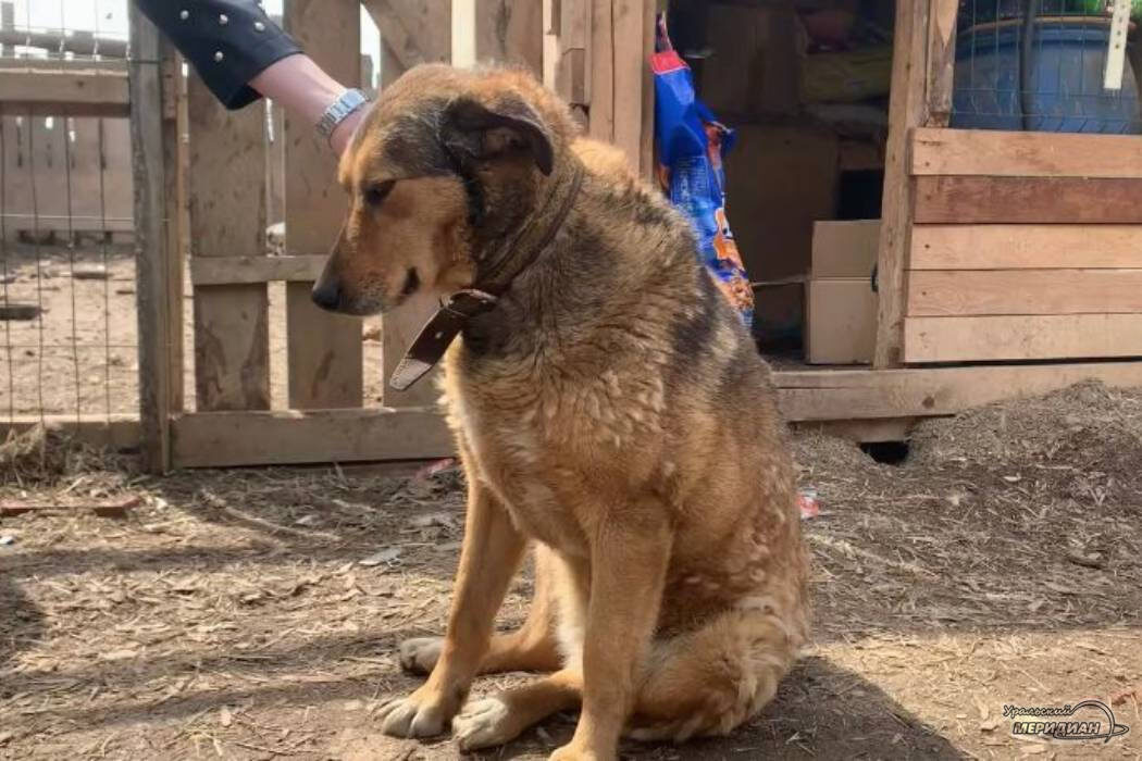    Фото: Софья Волкова © ИА «Уральский меридиан»