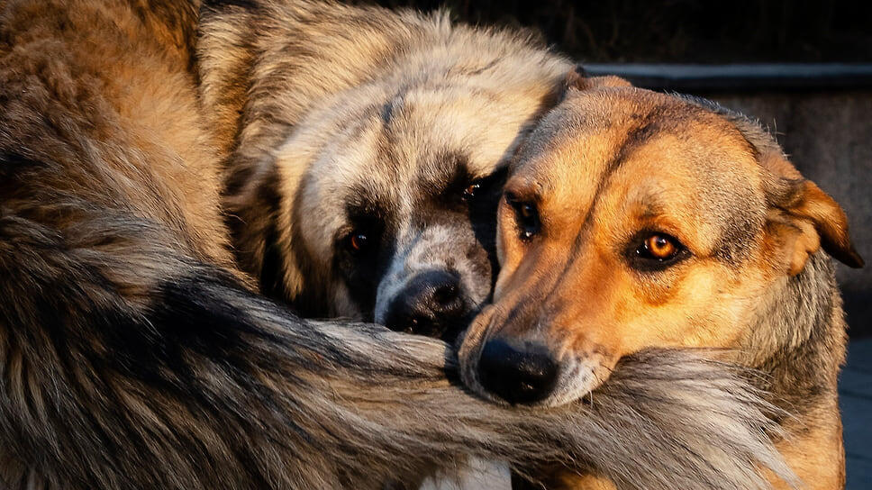 Фото: Александр Патрин / Коммерсантъ