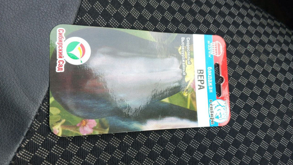 Семена ранних баклажанов едут домой, фото из автомобиля