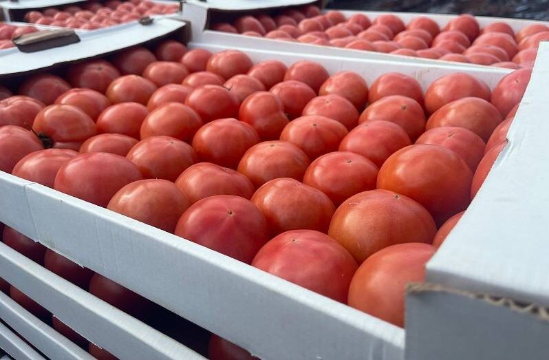    Фото: пресс-служба Южного межрегионального управления Россельхознадзора