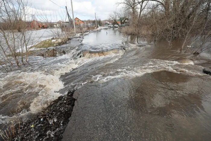     © РИА Новости. Данила Назаров
