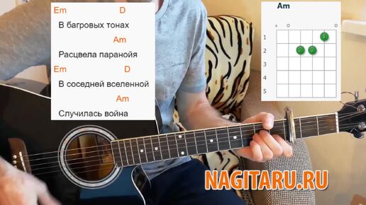 Аккорды для начинающих на гитаре 6 струнная. Аккорды для гитары для начинающих 6 струн с нуля. Видение аккорды для гитары. Копенков ноты для гитары. Видение табы движения плода.