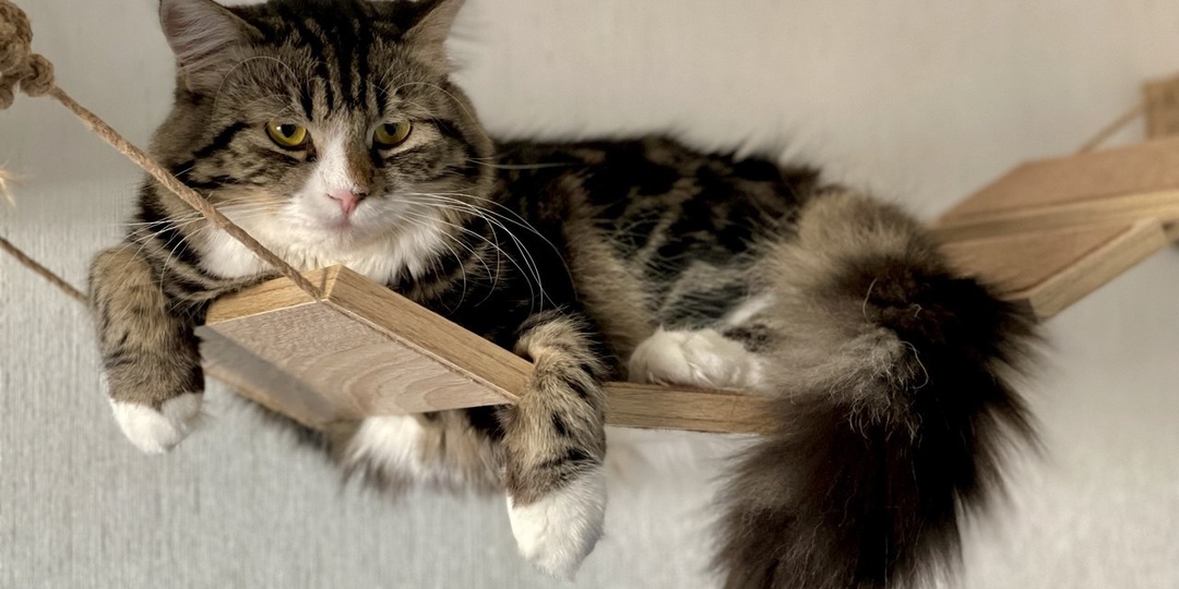 Этот красавчик повзрослел на наших глазах