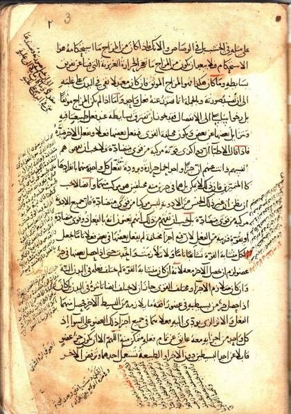 Одна из старейших копий "Канона врачебной науки" 1143 года.