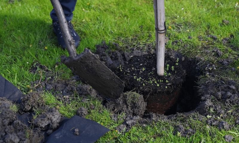    Фото пресс-службы администрации Краснодара